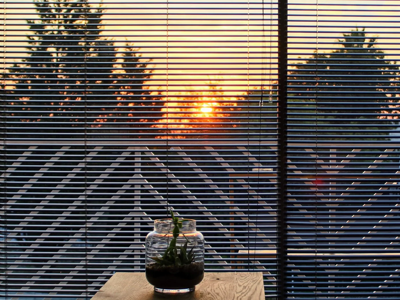 Sunset through aluminium venetian blind slats